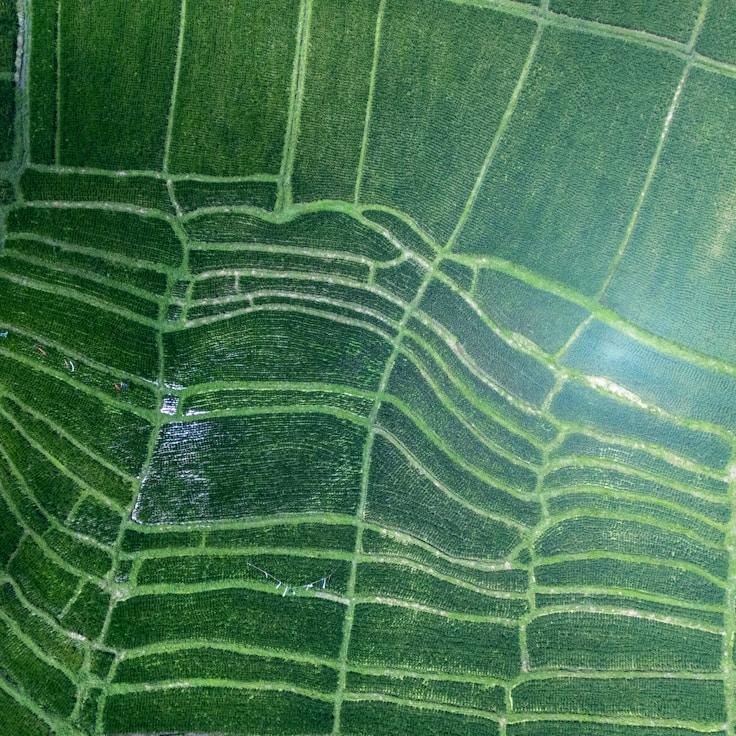 Family terraces and cafés for calm evenings in Milano