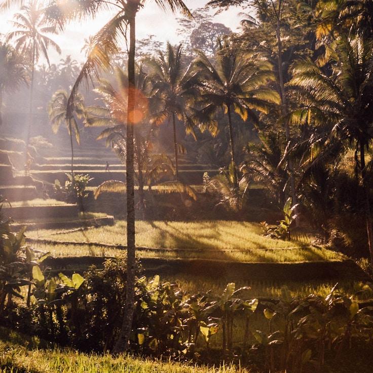 Outdoor terrace seating suitable for families in Milano